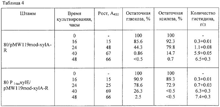 Способ получения l-аминокислот с использованием бактерий, принадлежащих к роду escherichia (патент 2304615)