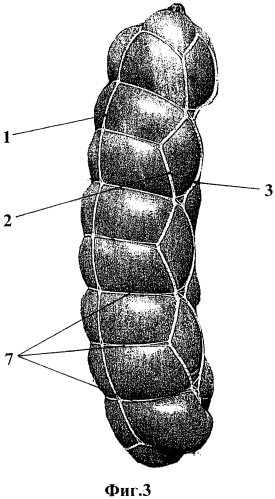 Сетка для колбасных изделий, оболочка для колбасных изделий и колбасное изделие (патент 2572308)
