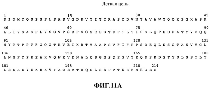 Терапия злокачественной опухоли, резистентной к препаратам на основе платины (патент 2403065)