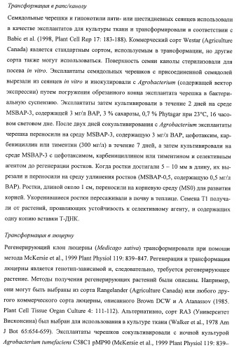 Растения, имеющие улучшенные характеристики роста, и способы их получения (патент 2463352)