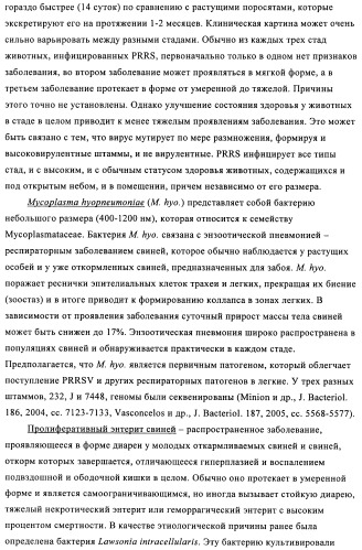 Поливалентные иммуногенные композиции pcv2 и способы получения таких композиций (патент 2488407)