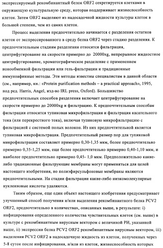 Поливалентные иммуногенные композиции pcv2 и способы получения таких композиций (патент 2488407)