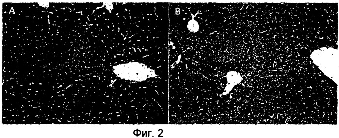 Терапевтическое средство для лечения гепатита и способ лечения гепатита (патент 2421214)