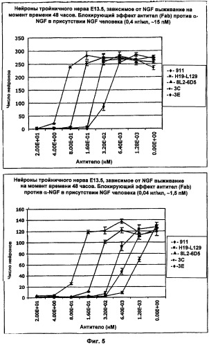 Способы лечения боли, вызванной остеоартритом, путем введения антагониста фактора роста нервов и содержащих его композиций (патент 2429013)
