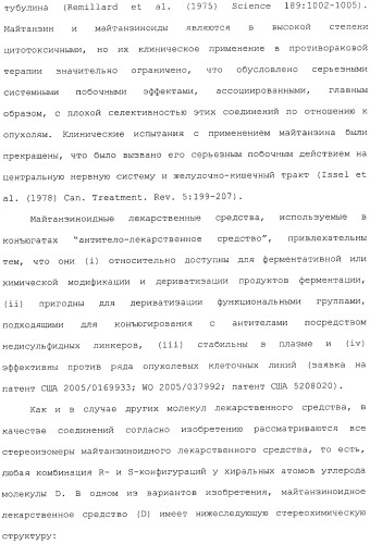 Антитела, сконструированные на основе цистеинов, и их конъюгаты (патент 2412947)