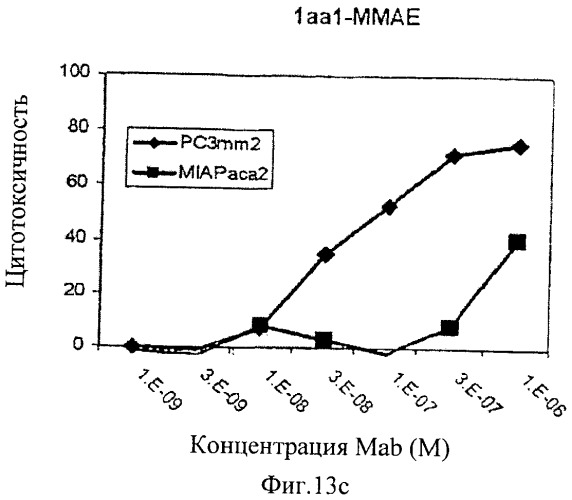 Анти-mn антитела и способы их применения (патент 2427590)