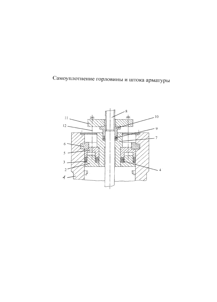 Самоуплотнение горловины и штока арматуры (патент 2599204)