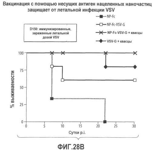 Включение адъюванта в иммунонанотерапевтические средства (патент 2496517)