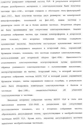 Композиции, содержащие cpg-олигонуклеотиды и вирусоподобные частицы, для применения в качестве адъювантов (патент 2322257)