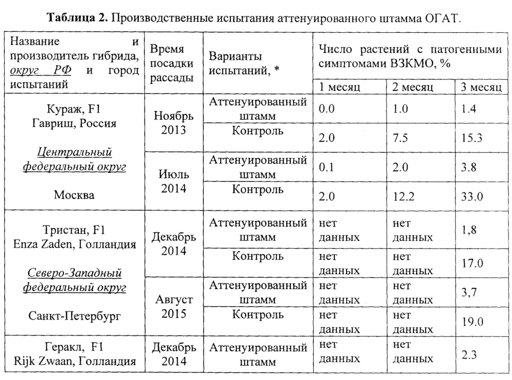 Аттенуированный штамм вируса - биологический препарат для защиты растений огурца от патогенных штаммов вируса зеленой крапчатой мозаики огурца (патент 2642321)