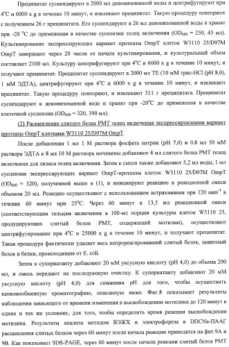 Способ расщепления полипептидов с использованием варианта протеазы оmpт (патент 2395582)