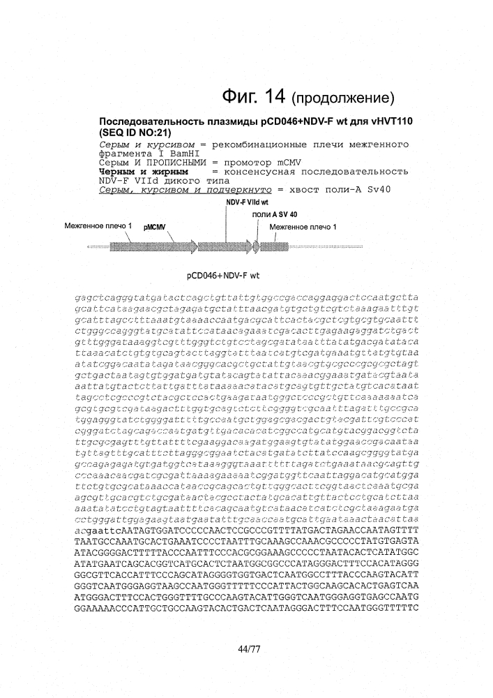 Рекомбинантные векторы hvt, экспрессирующие антигены патогенов птиц и их применение (патент 2620936)