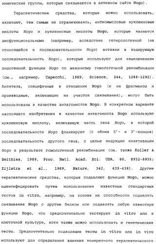 Поликлональное антитело против nogo, фармацевтическая композиция и применение антитела для изготовления лекарственного средства (патент 2432364)