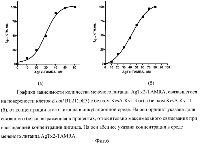 Способ качественной и количественной оценки связывания мембранного белка с лигандом (патент 2380421)