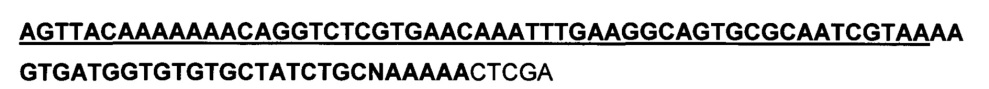 Изопропилмалат синтаза из nicotiana tabacum и способы и ее применение (патент 2644238)