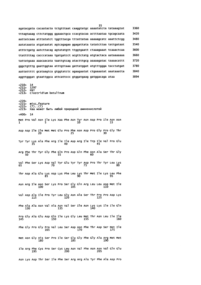 Нейротоксины, проявляющие укороченную биологическую активность (патент 2646110)