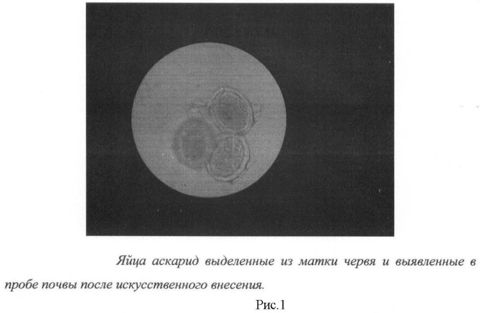 Способ выявления яиц гельминтов, клещей и ооцист простейших в пробах почвы (патент 2466388)