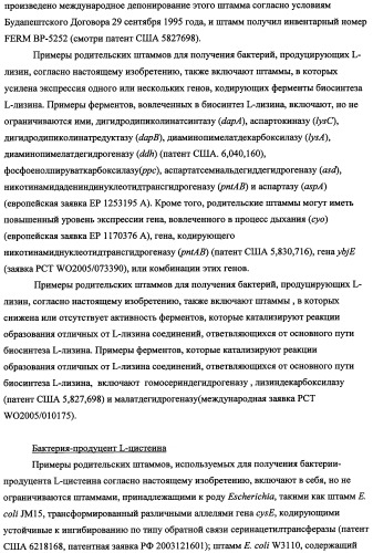 Способ получения l-треонина с использованием бактерии, принадлежащей к роду escherichia, в которой инактивирован кластер генов yrah-r (патент 2337962)