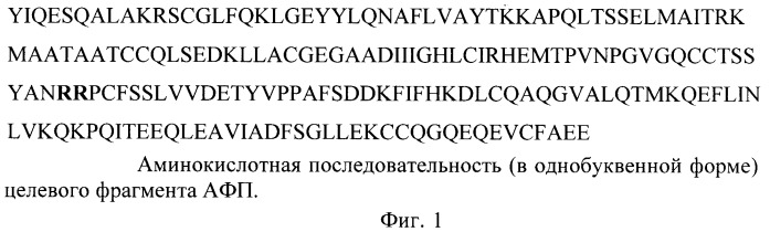 Штамм escherichia coli bl21(de3)/pafp11d3 - продуцент фрагмента с 404 по 609 аминокислоту альфа-фетопротеина человека (патент 2422512)