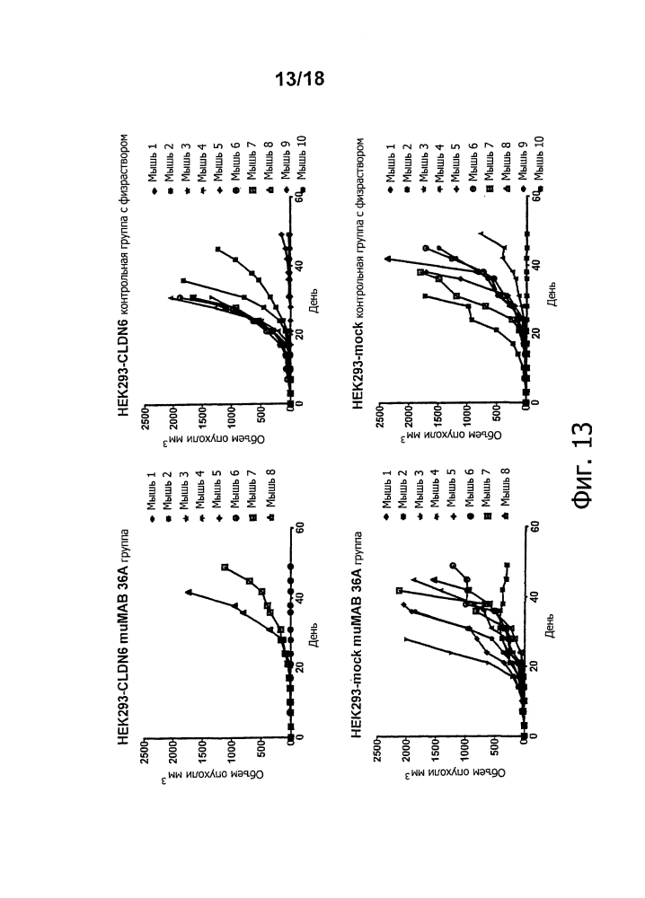 Лечение рака при помощи направленных на мишень антител in vivo (патент 2642305)