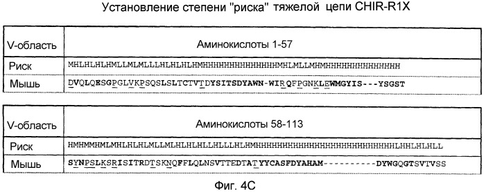 Не мышиное анти-m-csf-антитело (варианты), его получение и использование (патент 2401277)