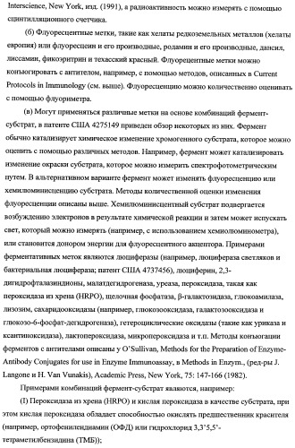 Способ лечения рака у человека (варианты), применяемая в способе форма (варианты) и применение антитела (варианты) (патент 2430739)