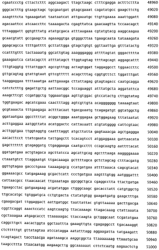 Бактериофаг, обладающий активностью против pseudomonas aeruginosa, белки бактериофага и способы их применения (патент 2580248)