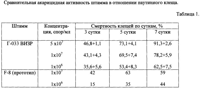 Штамм гриба lecanicillium muscarium, обладающий инсектоакарицидной и антибиотической активностью для борьбы против сосущих вредителей, грибных и бактериальных болезней (патент 2598251)