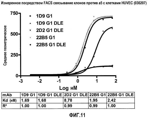 Антитела против альфа5-бета 1 и их применение (патент 2528736)