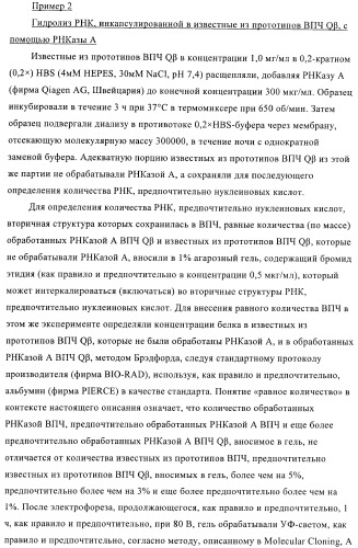 Конъюгаты впч-антиген и их применение в качестве вакцин (патент 2417793)