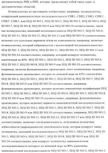 Терапевтические связывающие молекулы в виде химерного антитела (патент 2405790)