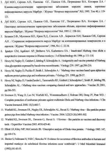 Штамм гибридных клеток животного mus musculus l. - продуцент моноклональных антител для выявления белка vp40 вируса марбург (штамм рорр) (варианты), моноклональное антитело, продуцируемое штаммом (варианты), набор для иммуноферментной тест-системы формата &quot;сэндвич&quot; для выявления матриксного белка vp40 вируса марбург (штамм рорр) (патент 2395575)