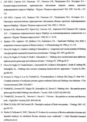 Штамм гибридных клеток животного mus musculus l. - продуцент моноклональных антител для выявления белка vp40 вируса марбург (штамм рорр) (варианты), моноклональное антитело, продуцируемое штаммом (варианты), набор для иммуноферментной тест-системы формата &quot;сэндвич&quot; для выявления матриксного белка vp40 вируса марбург (штамм рорр) (патент 2395575)