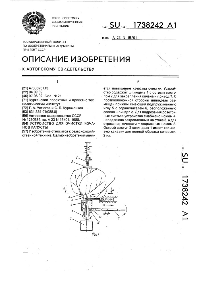 Устройство для очистки кочанов капусты (патент 1738242)