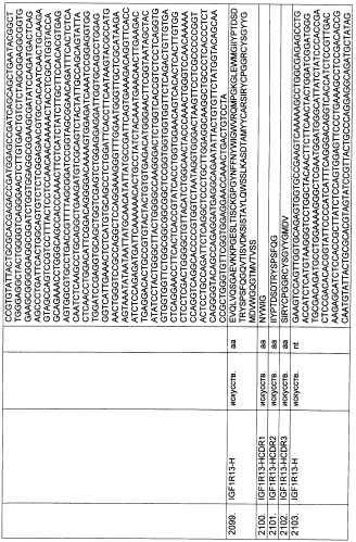 Pscaxcd3, cd19xcd3, c-metxcd3, эндосиалинxcd3, epcamxcd3, igf-1rxcd3 или fap-альфаxcd3 биспецифическое одноцепочечное антитело с межвидовой специфичностью (патент 2547600)