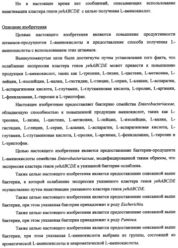 Способ получения l-треонина и l-аргинина с использованием бактерии, принадлежащей к роду escherichia, в которой инактивирован кластер генов yehabcde (патент 2337960)