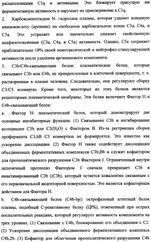 Иммуногенная композиция и способ разработки вакцины, основанной на участках связывания фактора н (патент 2364413)