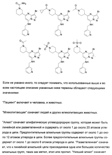 Новые пиразолопиримидины как ингибиторы циклин-зависимой киназы (патент 2380369)