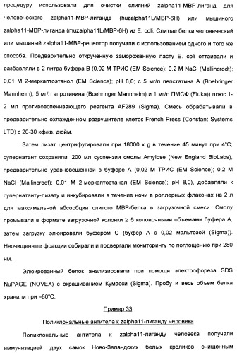 Выделенный полипептид, связывающий рецептор zalpha11-лиганда (варианты), кодирующий его полинуклеотид (варианты), вектор экспрессии (варианты) и клетка-хозяин (варианты) (патент 2346951)