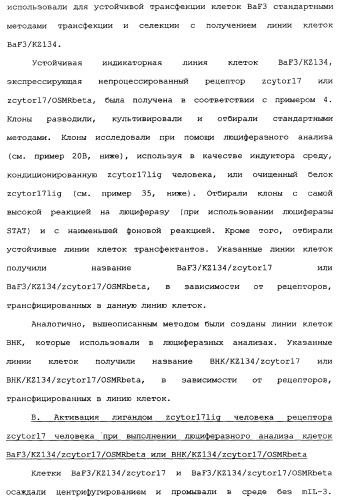 Новый лиганд рецептора цитокина zcytor17 (патент 2360923)