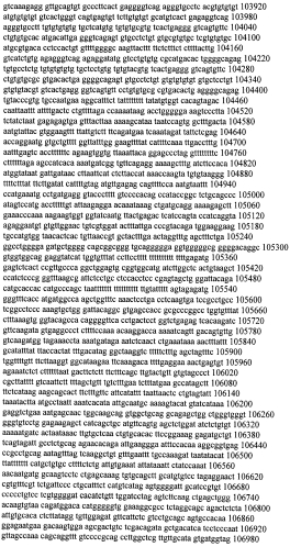 Модуляция экспрессии гентингтина (патент 2562861)