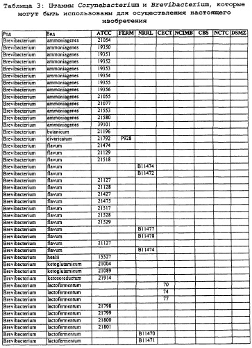 Гены corynebacterium glutamicum, кодирующие белки метаболических путей (патент 2306339)