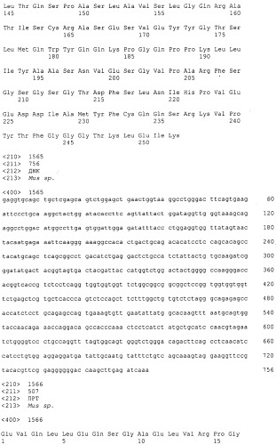 Pscaxcd3, cd19xcd3, c-metxcd3, эндосиалинxcd3, epcamxcd3, igf-1rxcd3 или fap-альфаxcd3 биспецифическое одноцепочечное антитело с межвидовой специфичностью (патент 2547600)