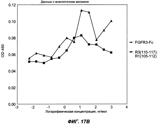 Мутеины кислотной зоны внеклеточного домена рецептора фактора роста фибробластов (патент 2509774)