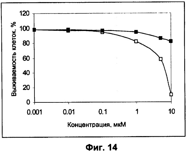 Водорастворимые анионсодержащие производные бактериохлорофилла и их применение (патент 2353624)