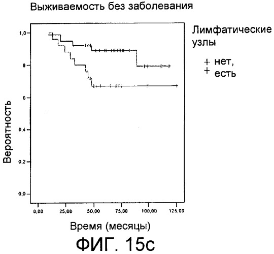 Способ in vitro определения прогноза развития заболевания у больного раком и способ in vitro мониторинга эффекта терапии, назначаемой больному раком (патент 2434946)