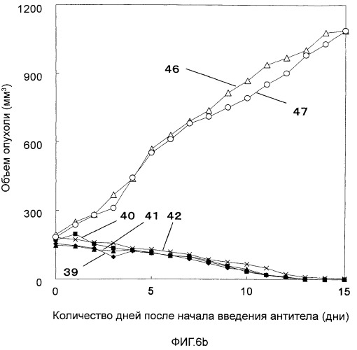 Фармацевтическая композиция для лечения и профилактики злокачественных опухолей (патент 2498819)