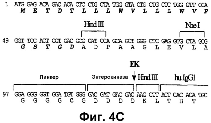 Молекулярные массивы антигенов (патент 2324704)