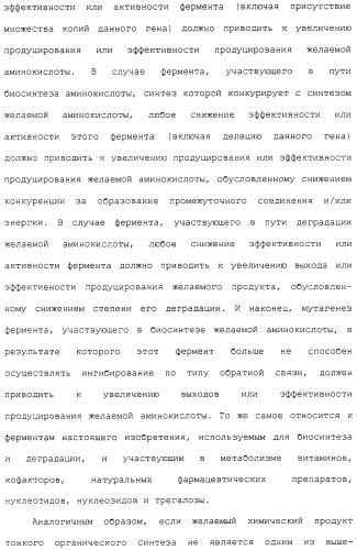 Гены corynebacterium glutamicum, кодирующие белки метаболических путей (патент 2306339)