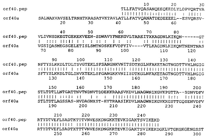 Антигены neisseria meningitidis (патент 2343159)